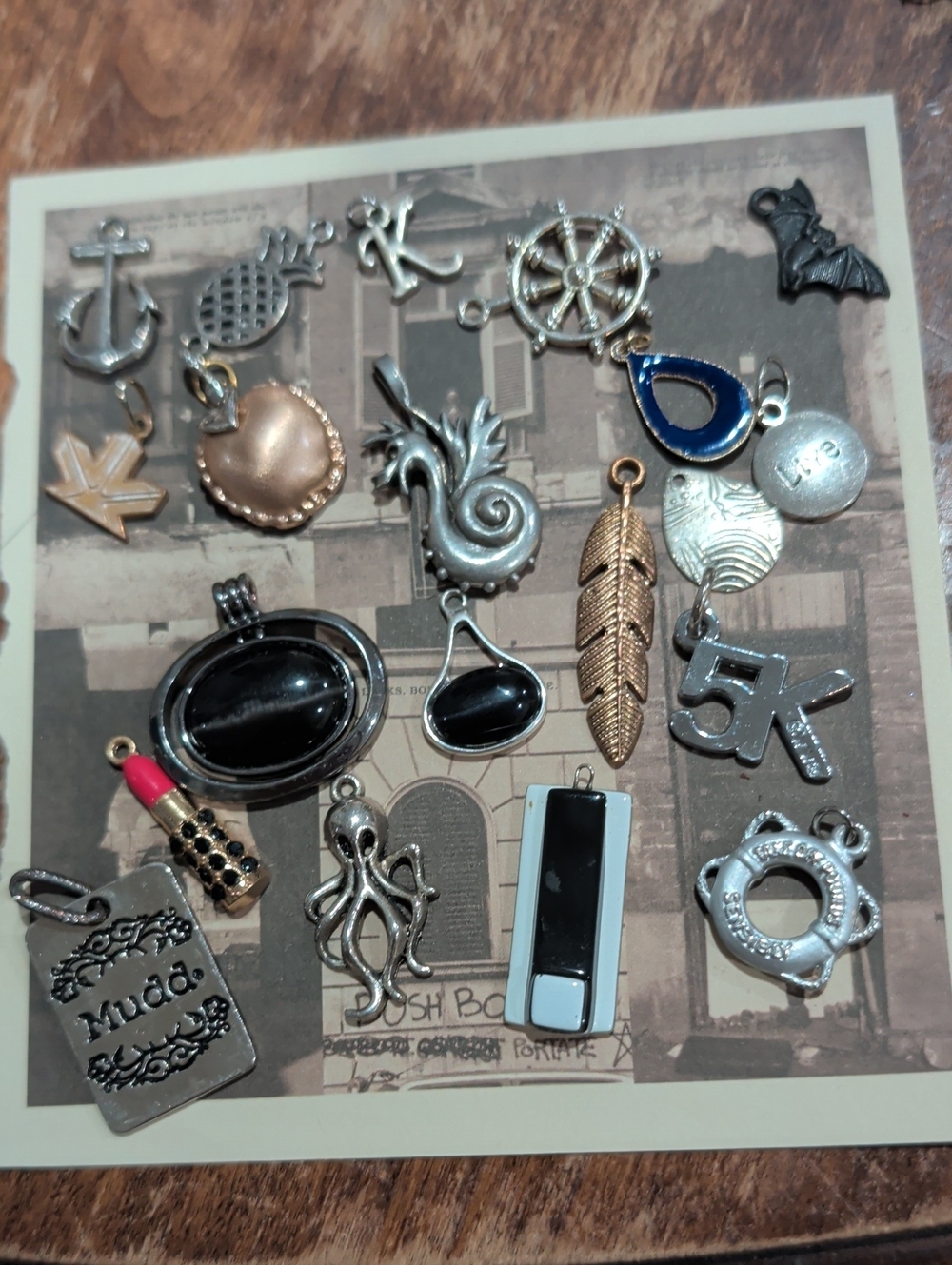 Mixed Metal and Enamel Charm Lot with Black Accents